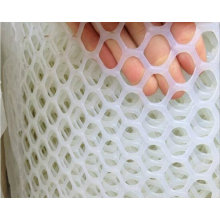 Competitive Price and High Quality Plastic Mesh